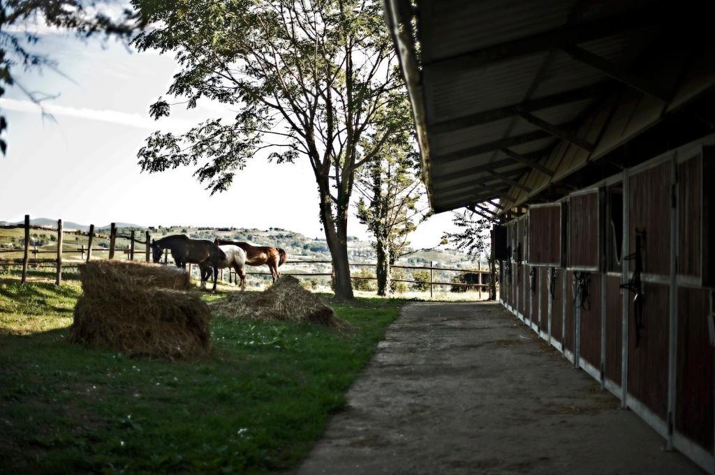 Tenuta Di Corbara Corbara  Экстерьер фото