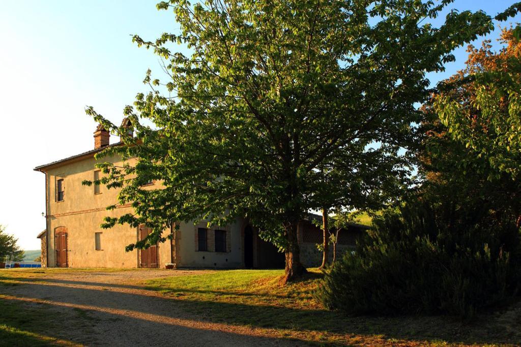 Tenuta Di Corbara Номер фото