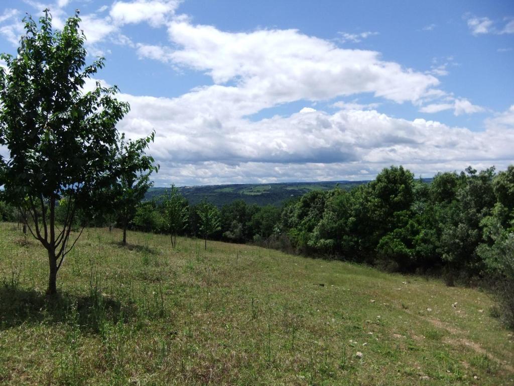 Tenuta Di Corbara Corbara  Экстерьер фото